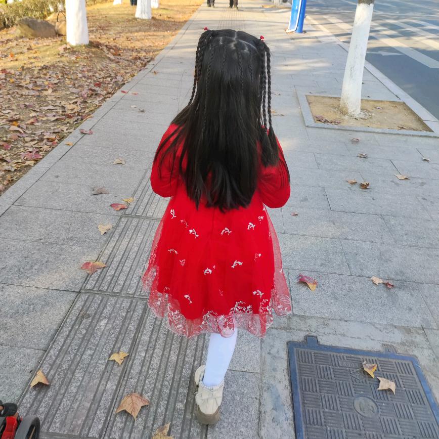 且看风吟