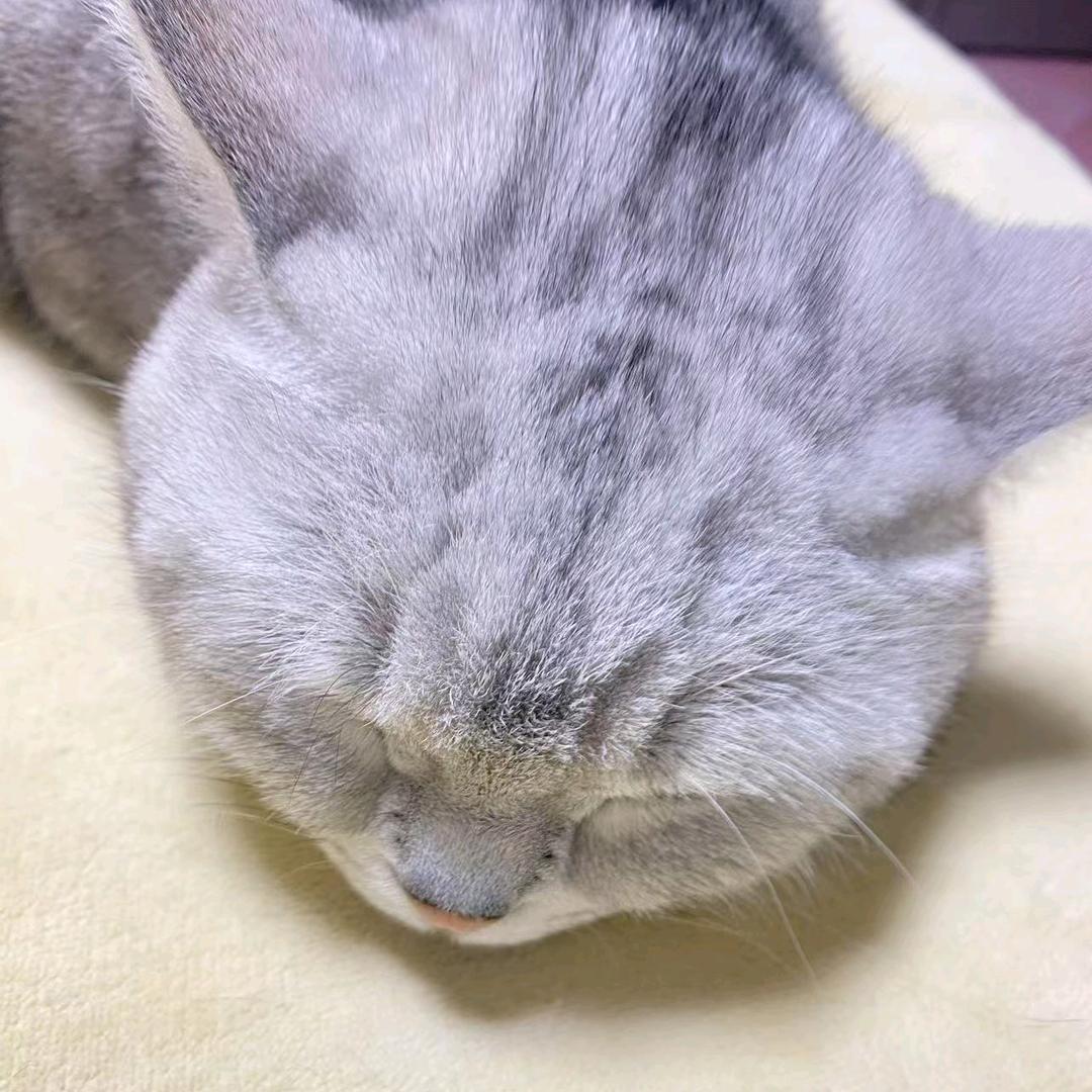 宇哥哥