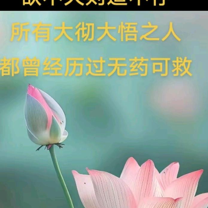🌻静🌹心🌳