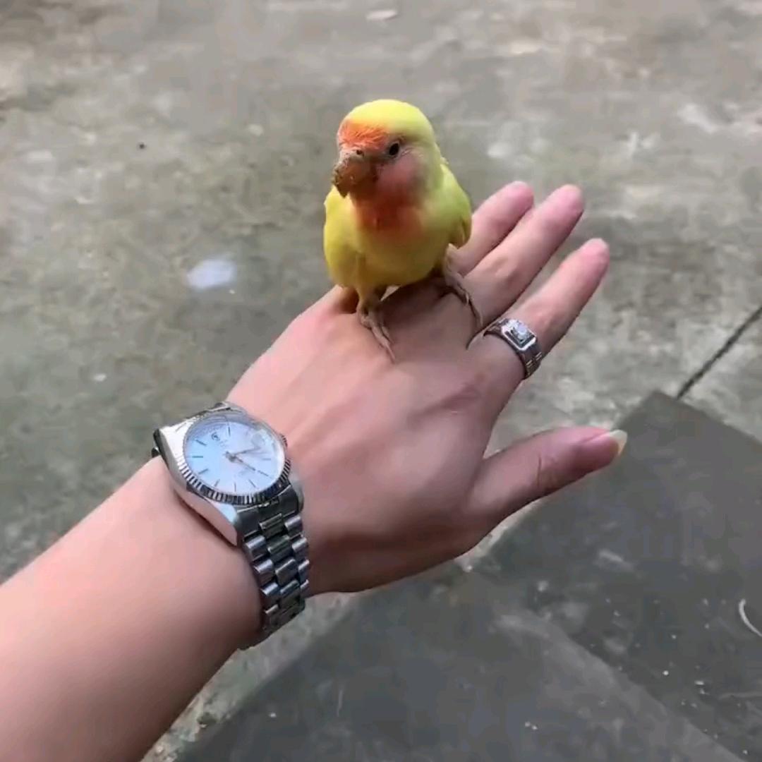 杰.