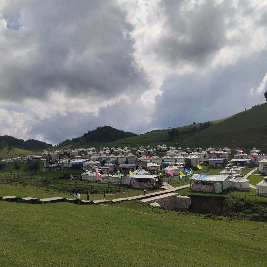 @杨杨杨❗❗(不忘初心)