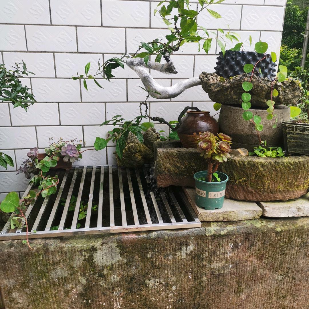 拆弹专家！有钱花