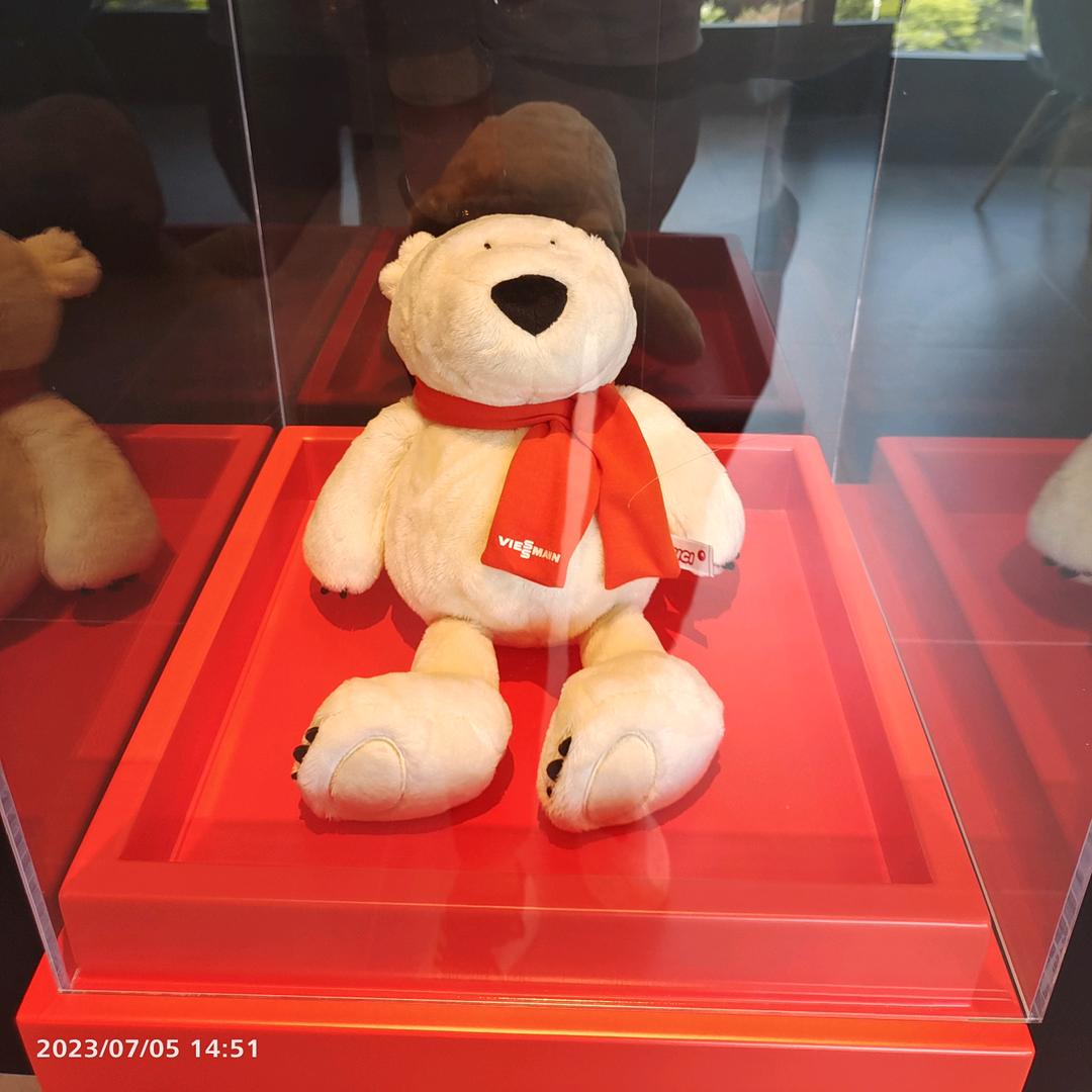 郸城德国菲斯曼壁挂炉