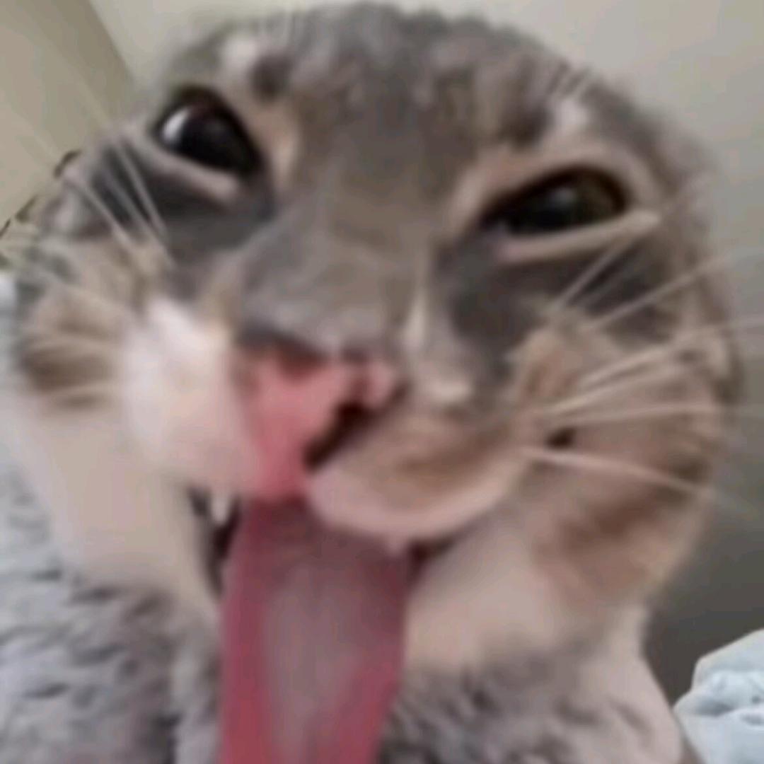 这辈子被眼镜长毛男毁了