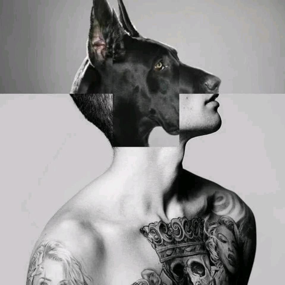 𝐀𝐬𝐤  𝐉𝐞𝐬𝐮𝐬