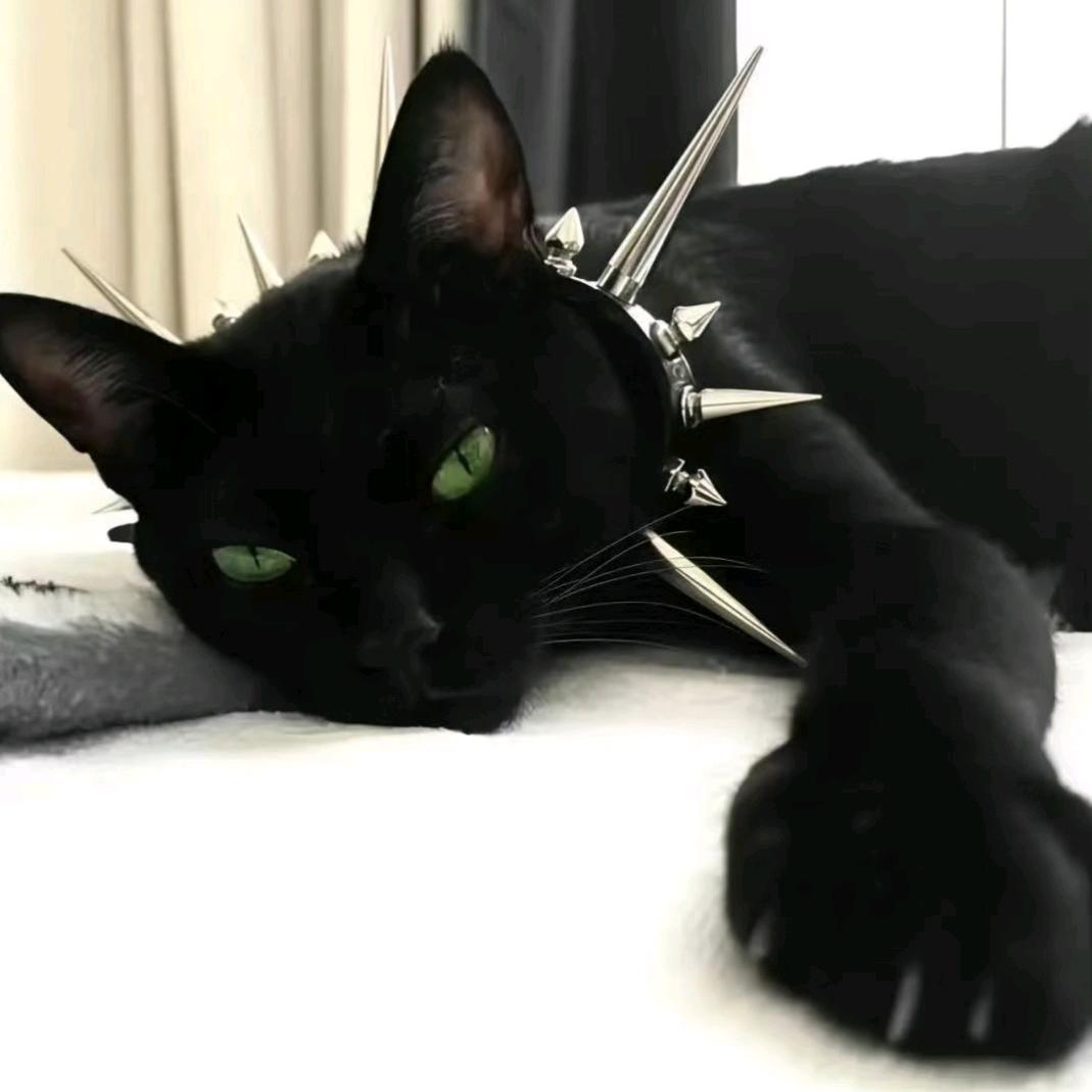 渣渣姿姿猪