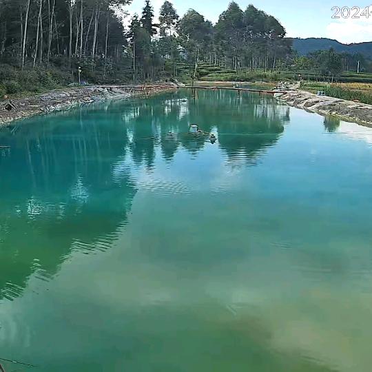 小汪休闲垂钓园