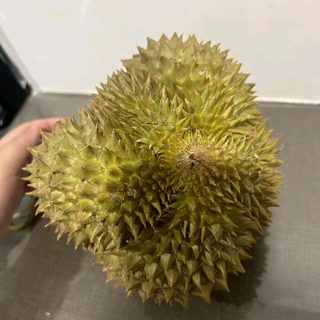 哦噢