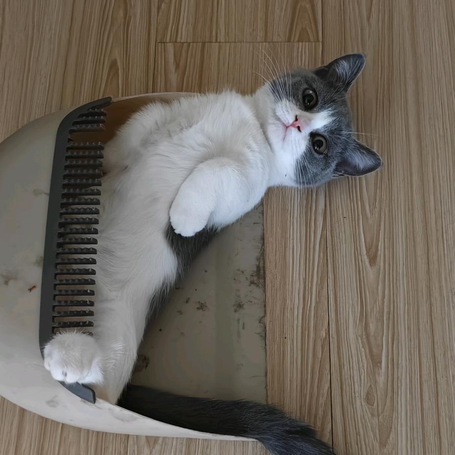 暖暖爹