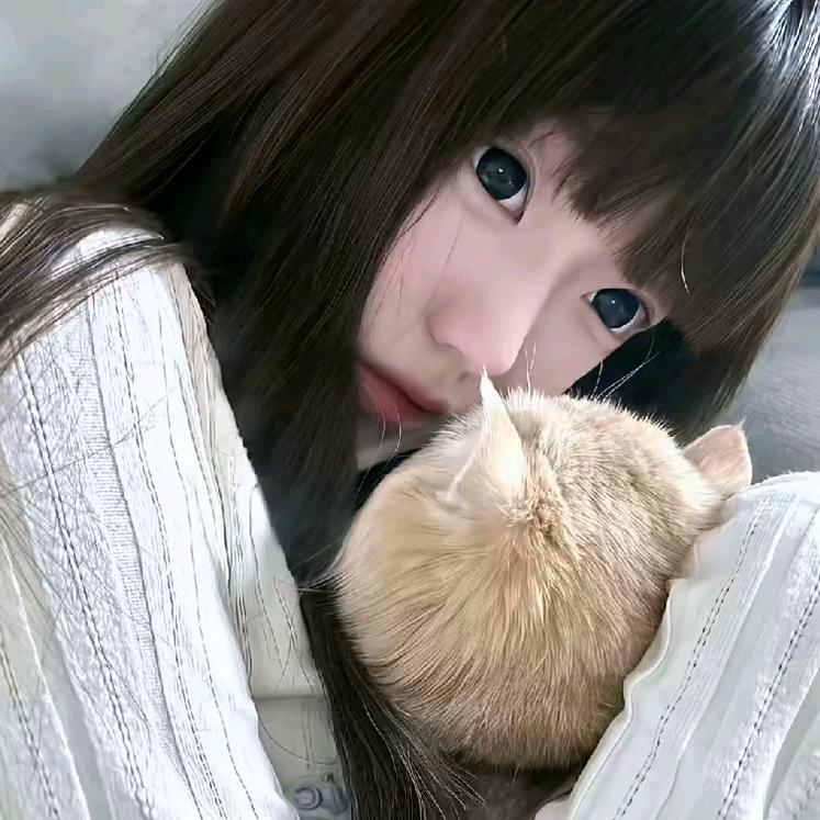 南风知我意