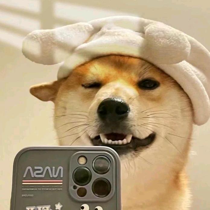牧童每日搞笑。