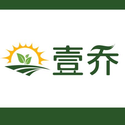 壹乔