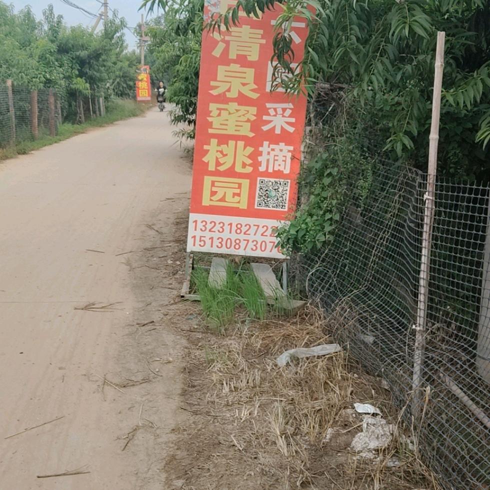 张小立