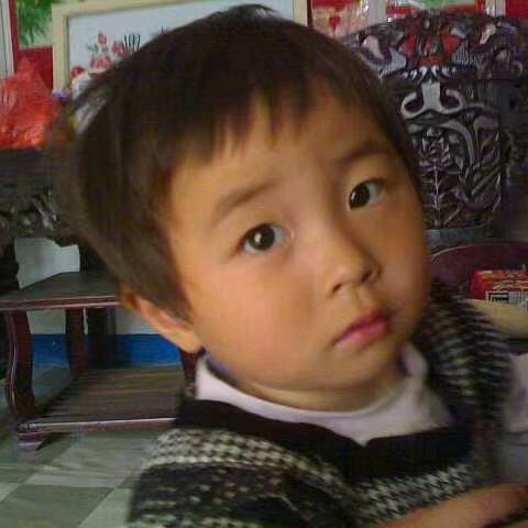 早起的鸟儿有虫吃李治伟