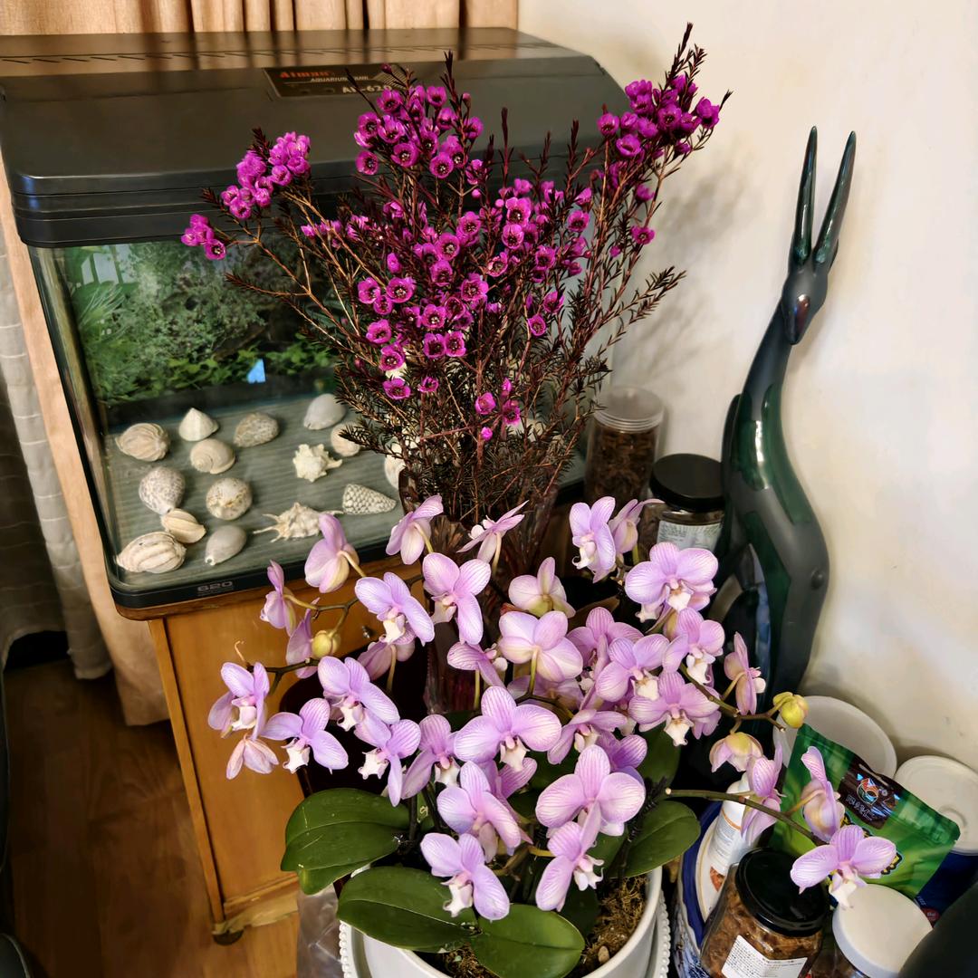 逍遥🏄🏻‍♂️