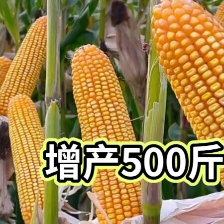 133.394oo897.
