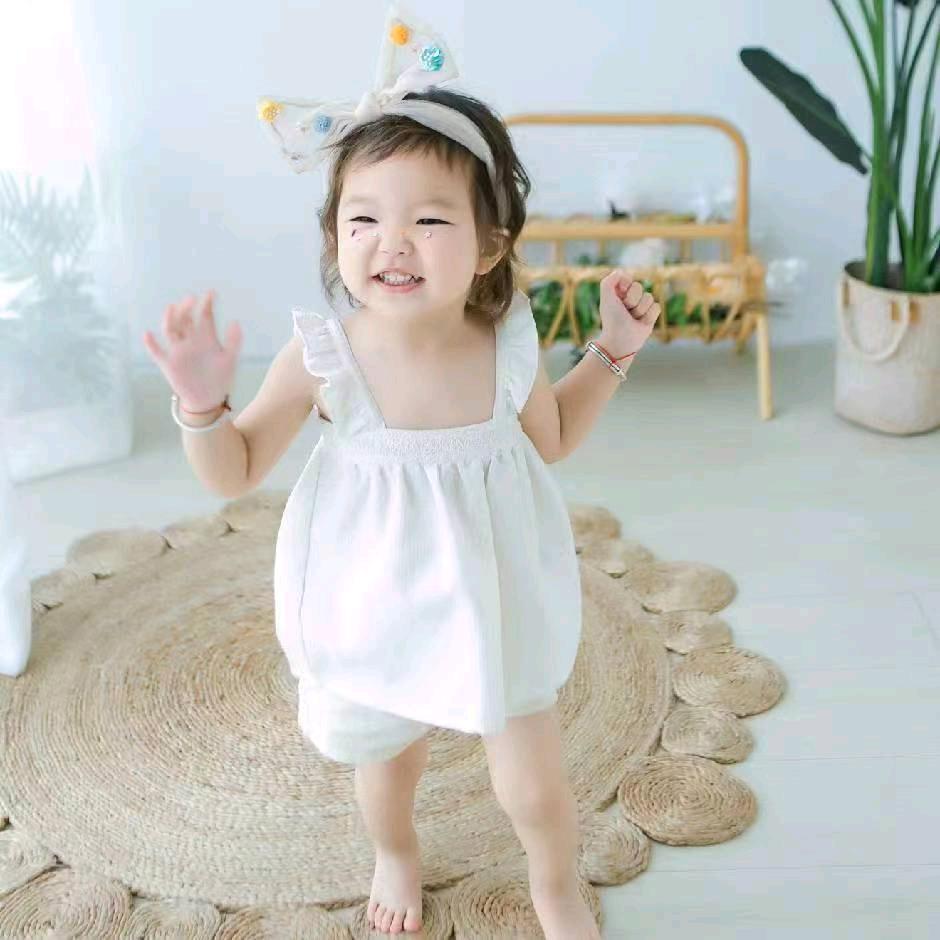 鸽