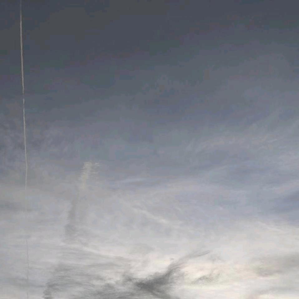 照亮未来    章鱼
