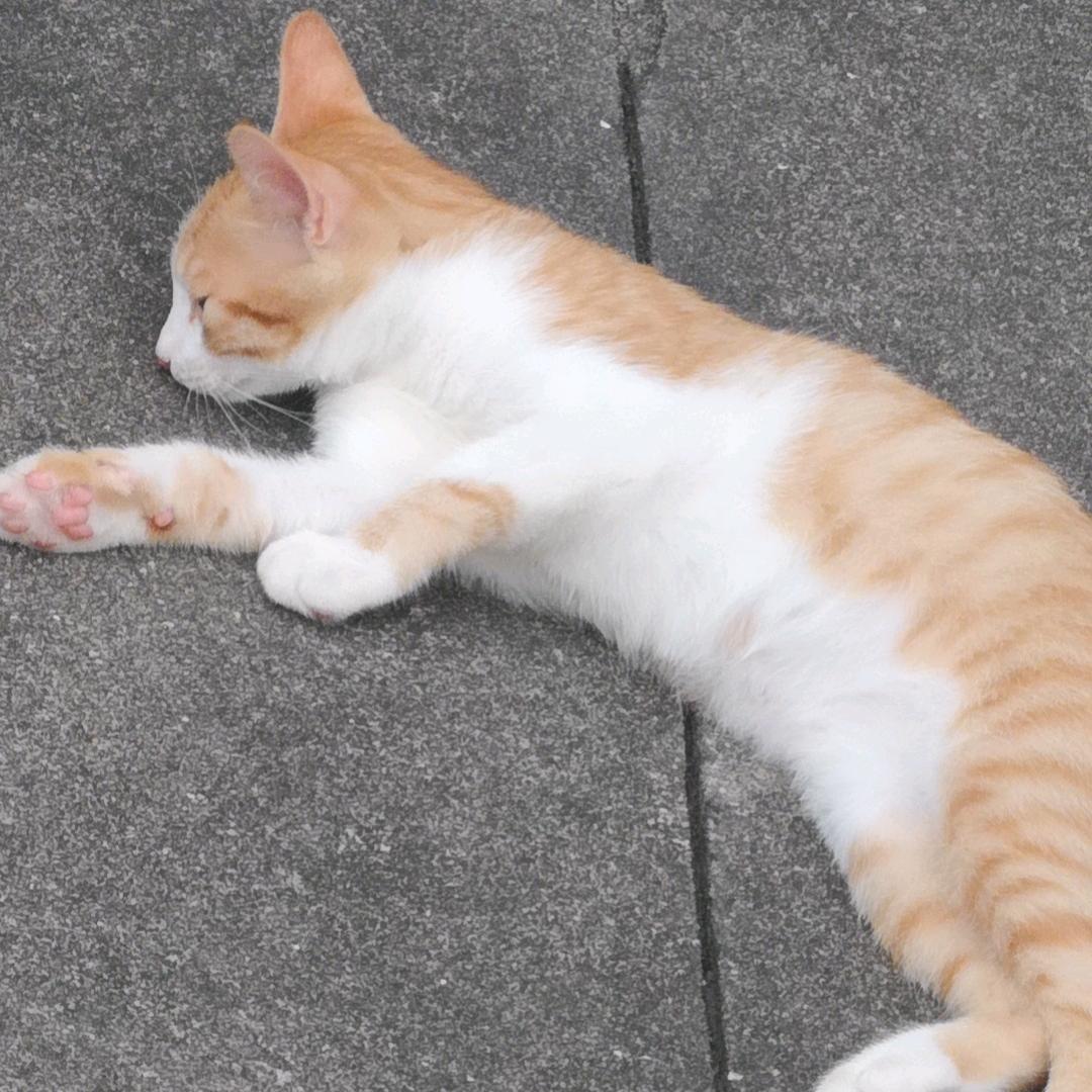 我很不好惹！！！