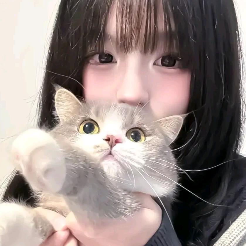 淮渔