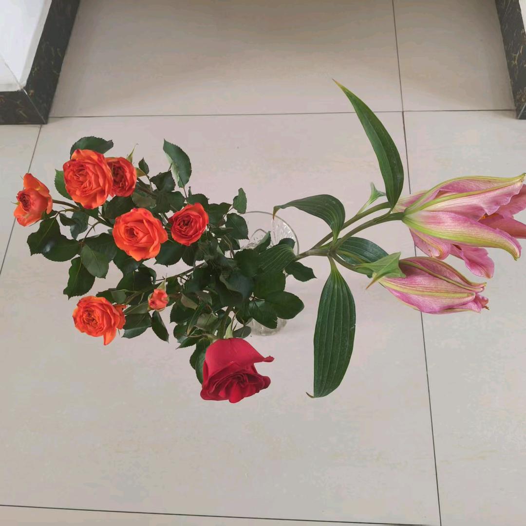 风里雨里在等你