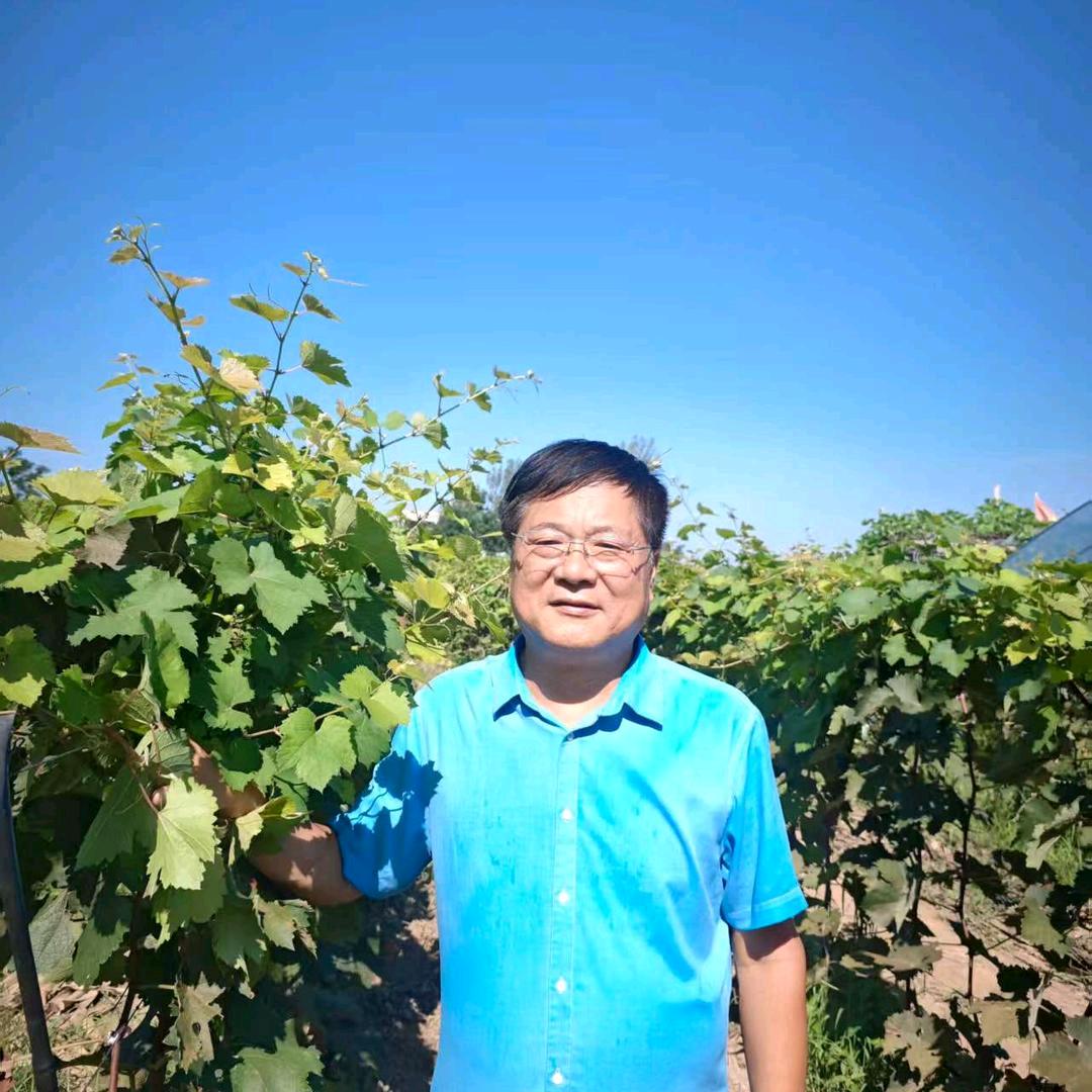 商丘老农业高赞科