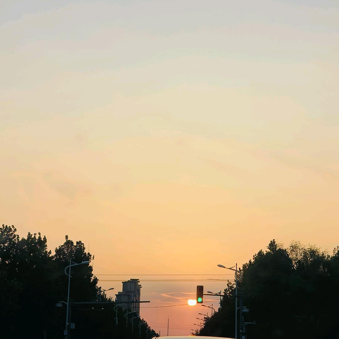 @苍涛观潮🌊