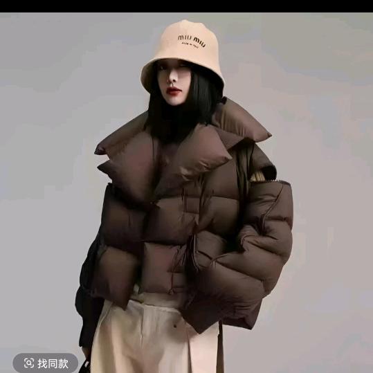 鹅世嘉品牌鹅绒服