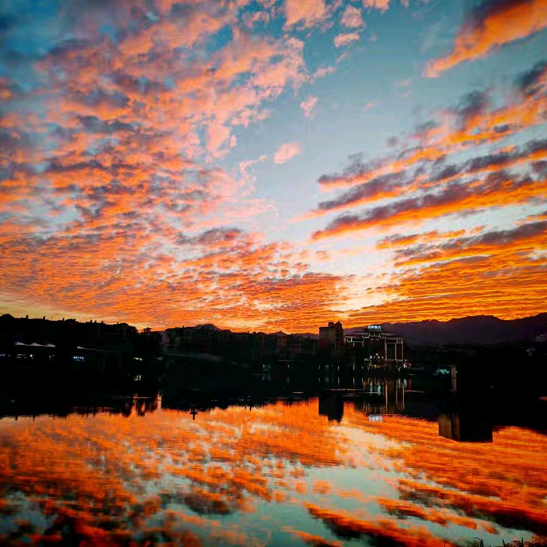 @凌晨一点的猫🐱