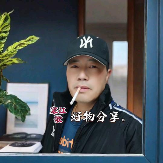 寒~江歌，橱窗有好物