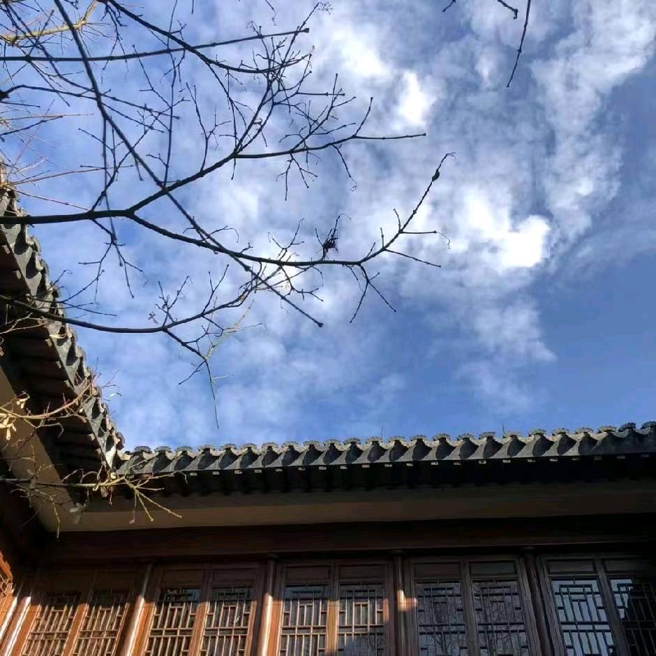 台球沐阳.
