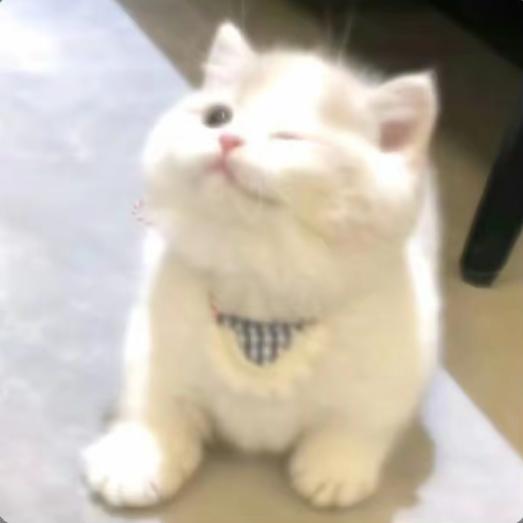 今山