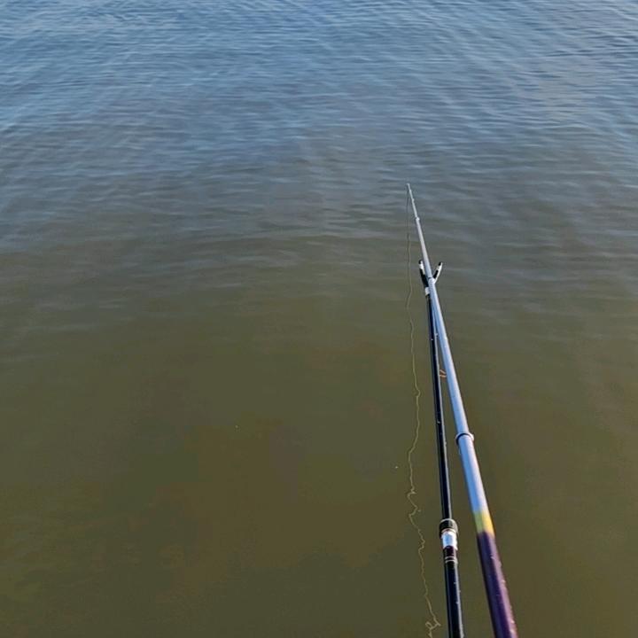 一半海水一半螃蟹