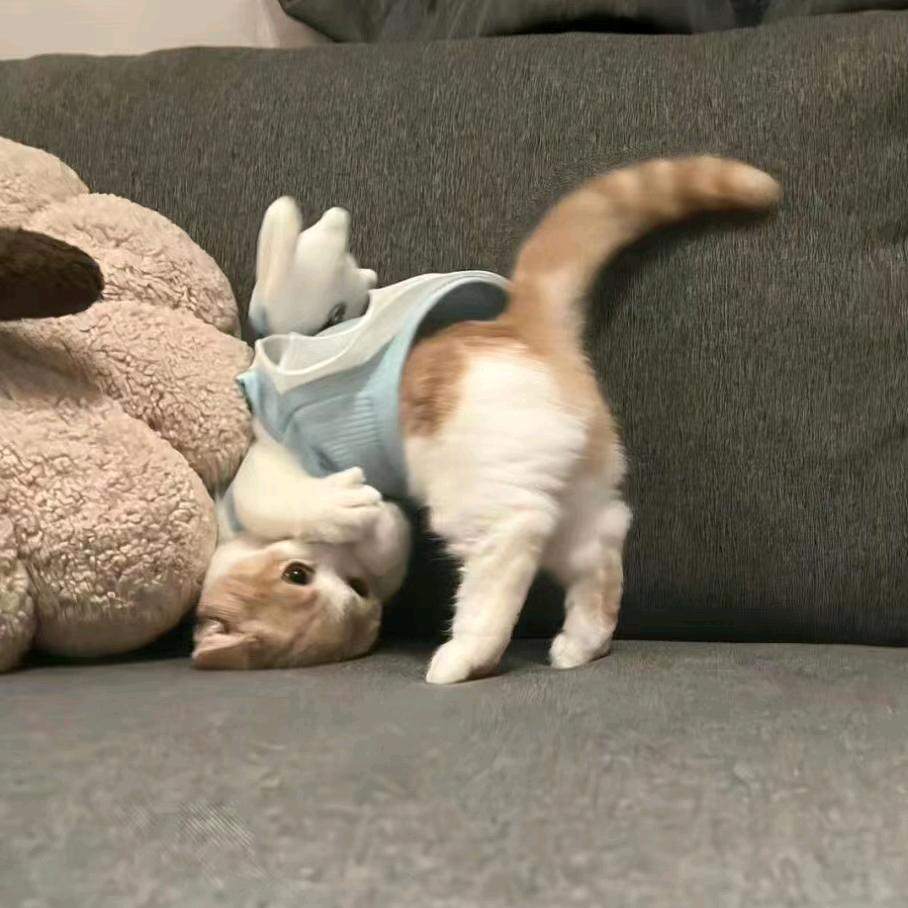 重生之我在医院打黑工🐾