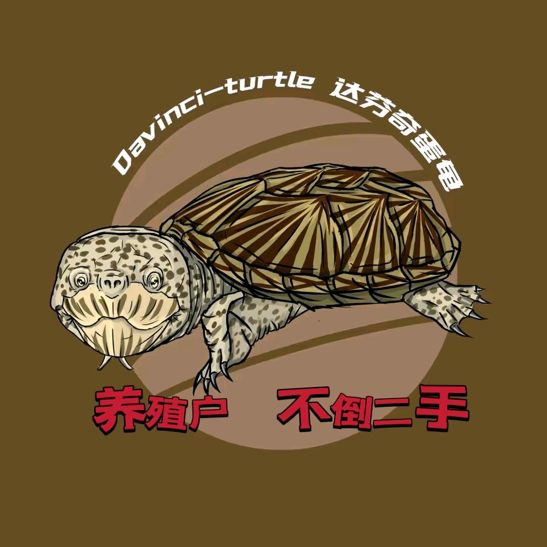 达芬奇蛋龟巨头剃刀