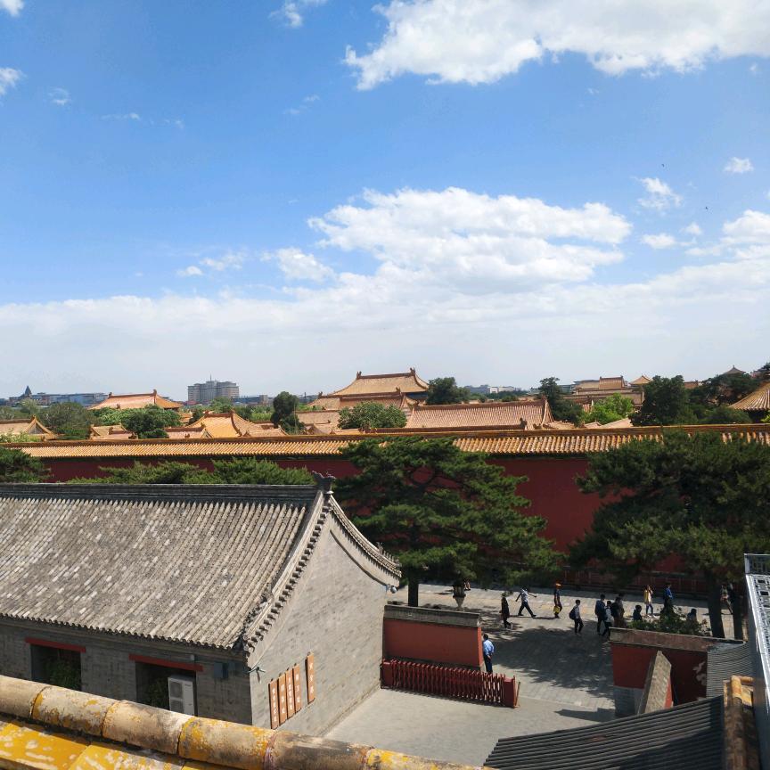 森林