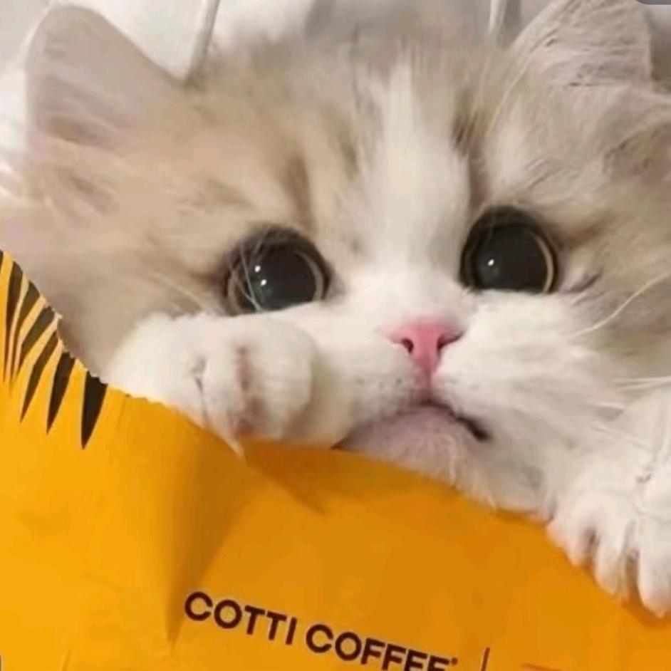 Fox Baby🧁⁸³⁰