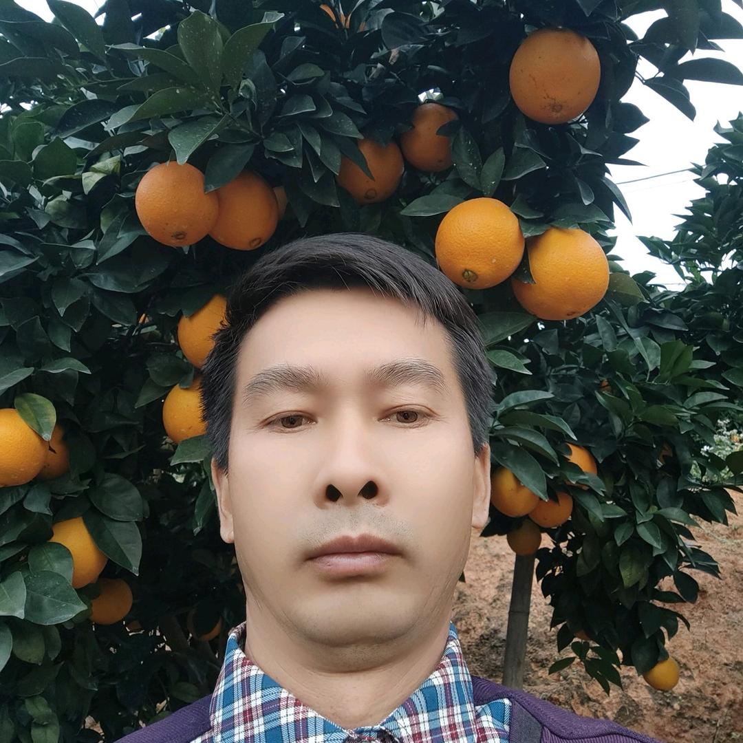 橙子哥8