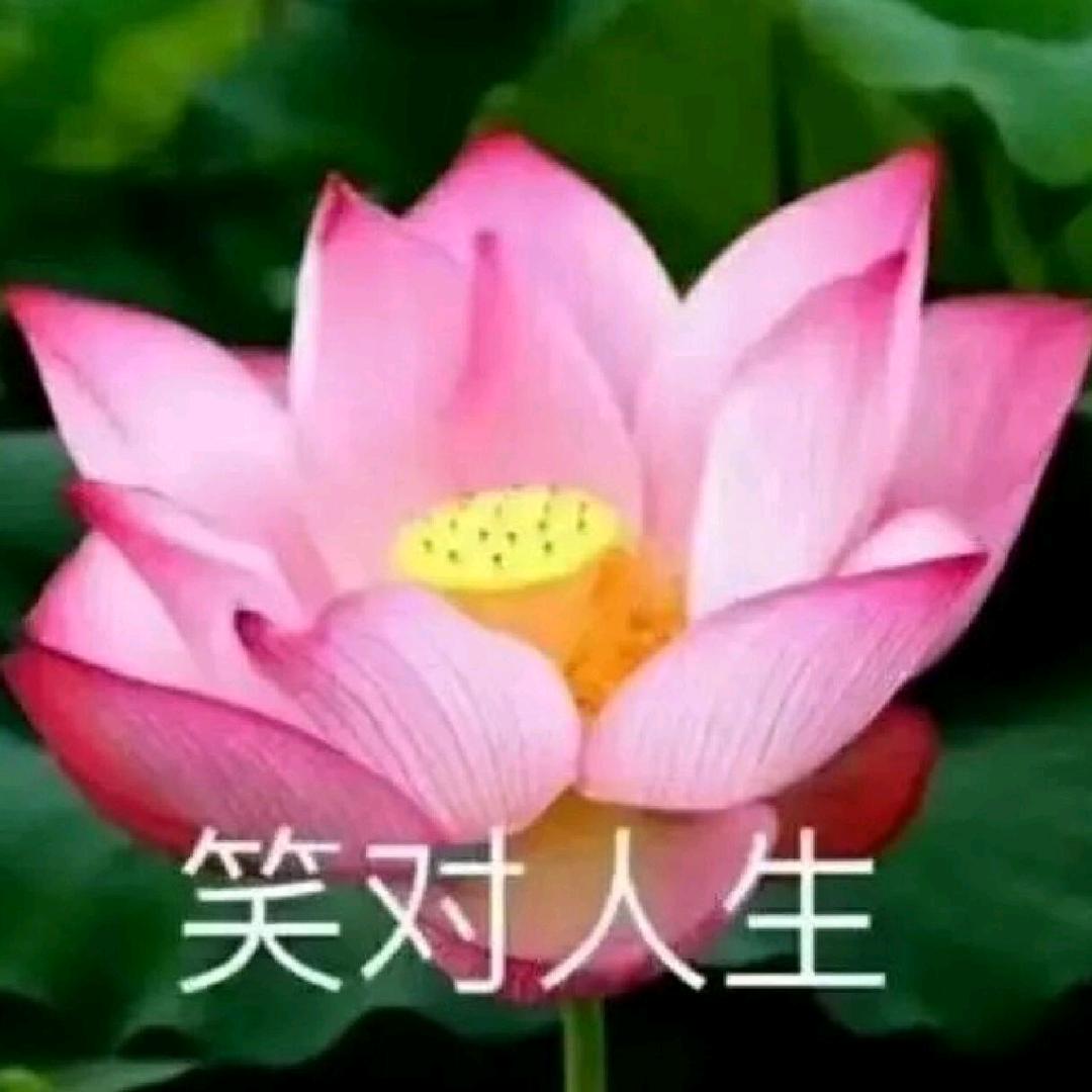 芳芳自动挡，手动挡