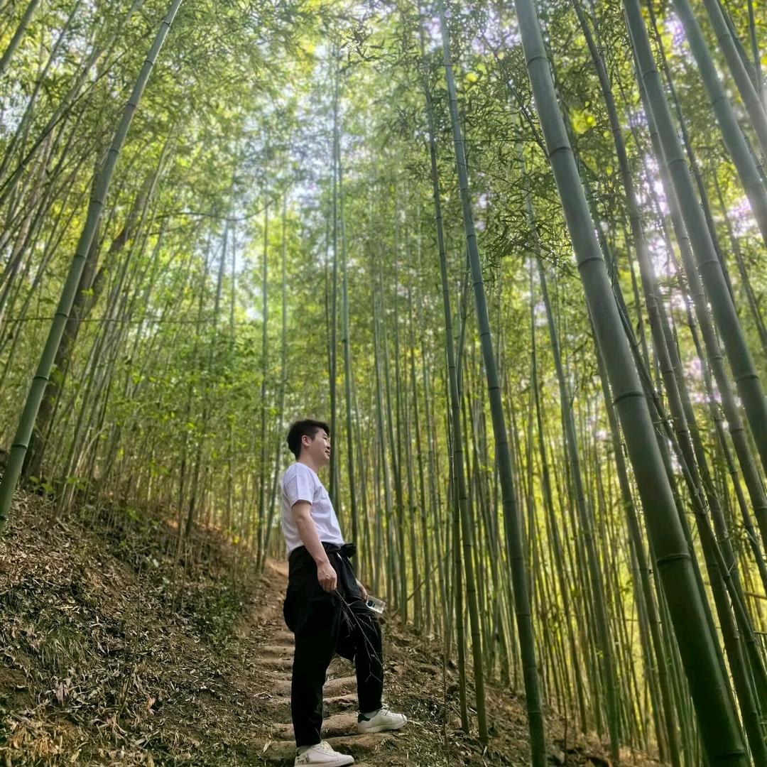 尘心