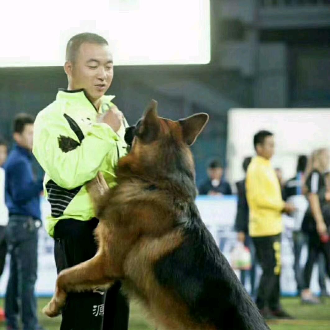 狼的智慧——华之源.同  戈兰  库里金