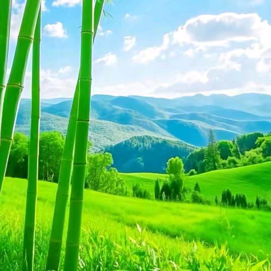药王下山