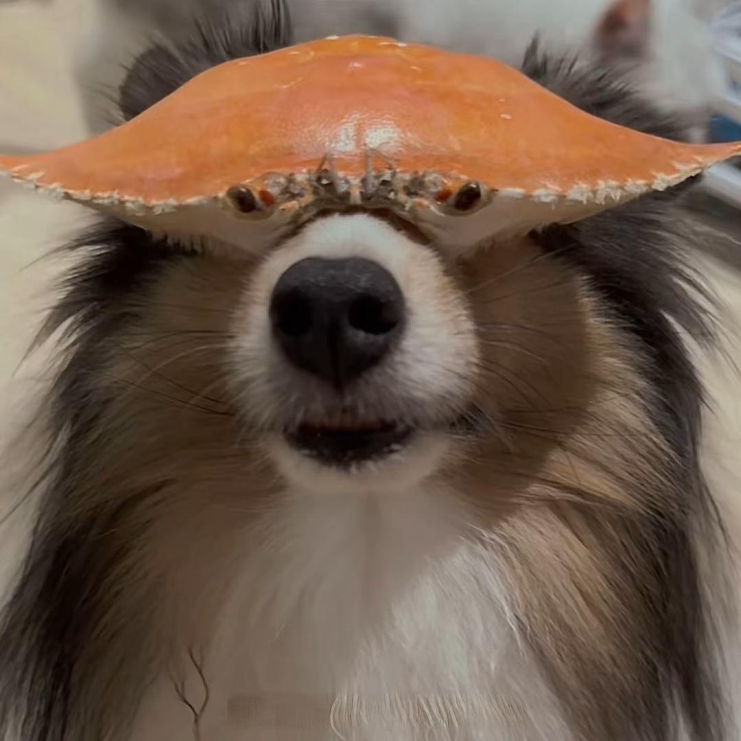 坤坤不犯困🤥