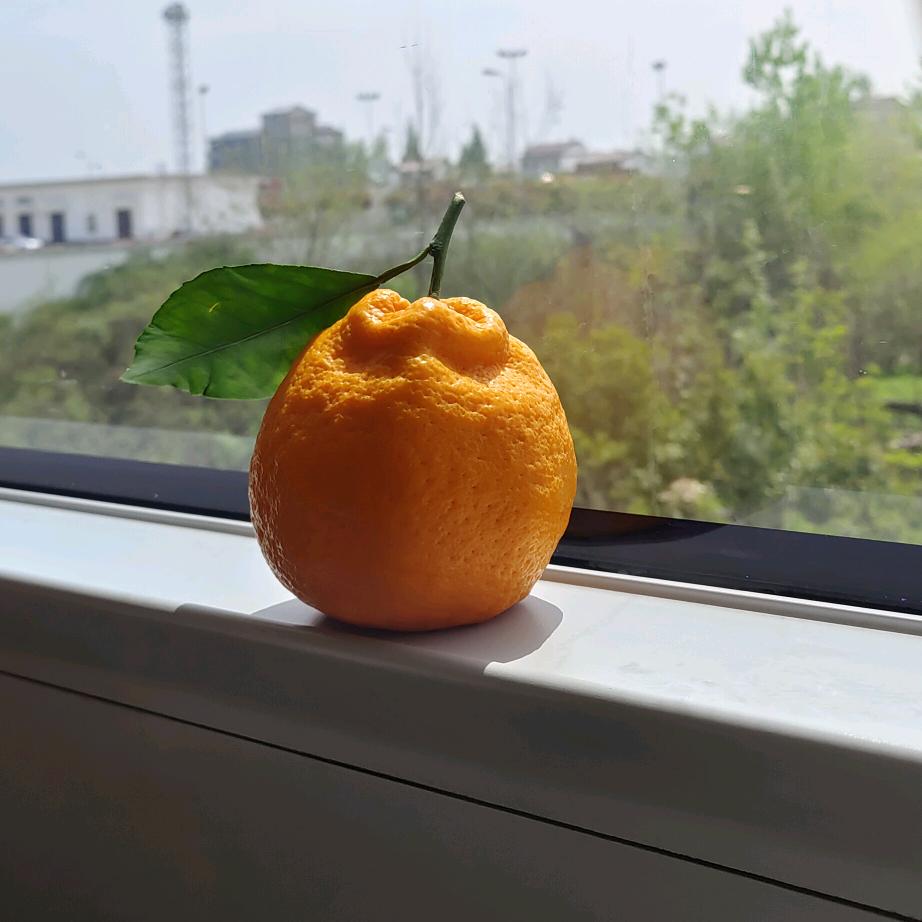 你是不是傻