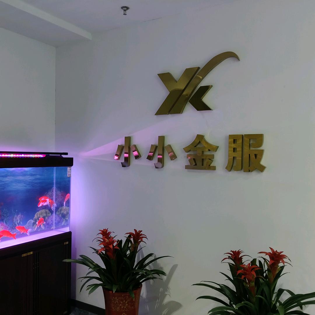 小小金服 杨冰冰