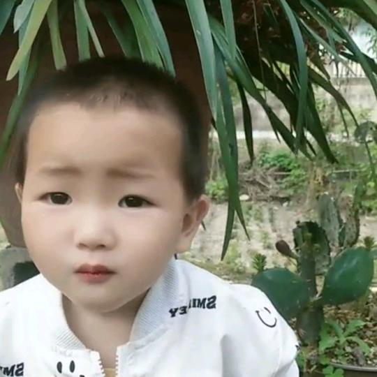 💔王💕᭄ꦿᩚ٭