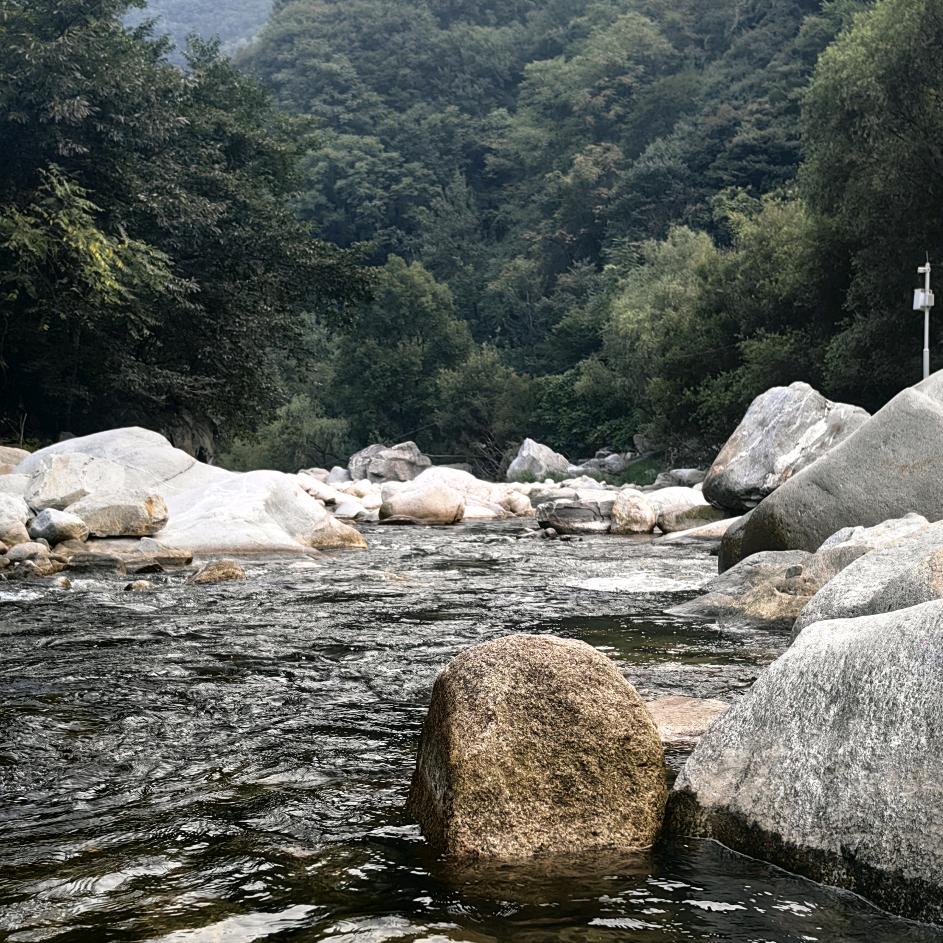 张俊杰  百年传承中医  敬畏向善