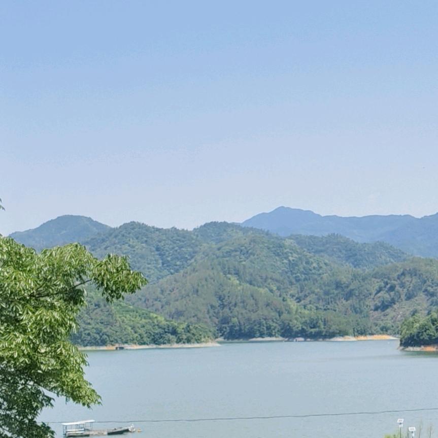 张小琴