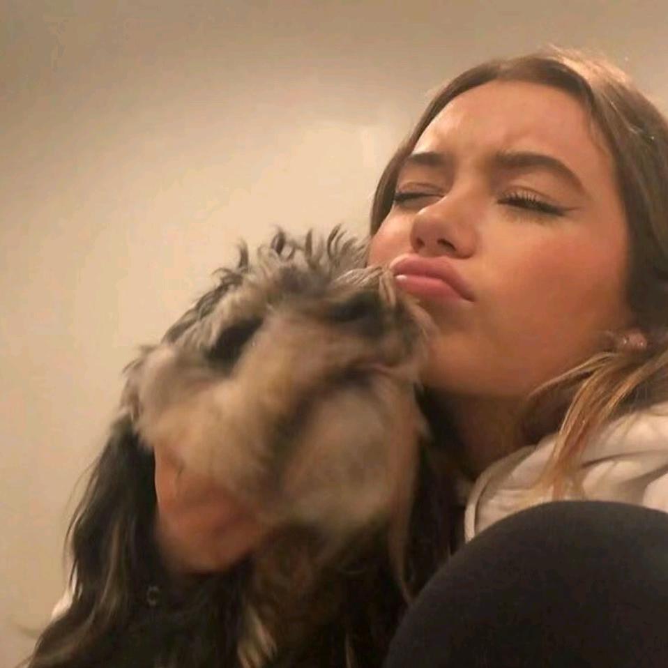 Pehak