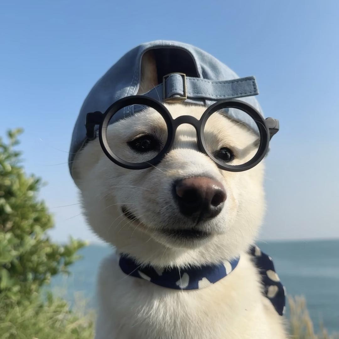 风起青萍